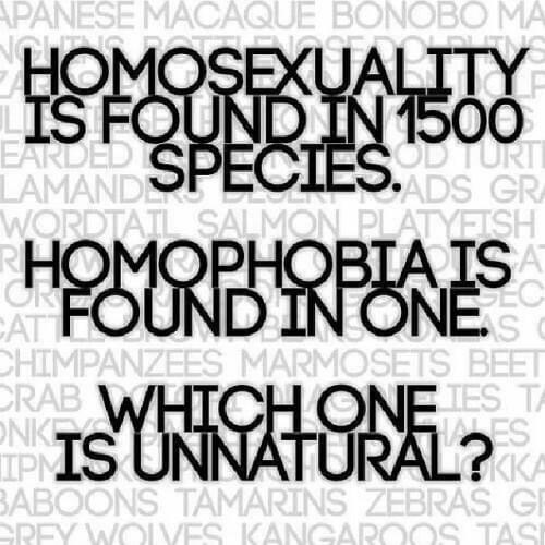 A meme promoting homosexuality as natural.