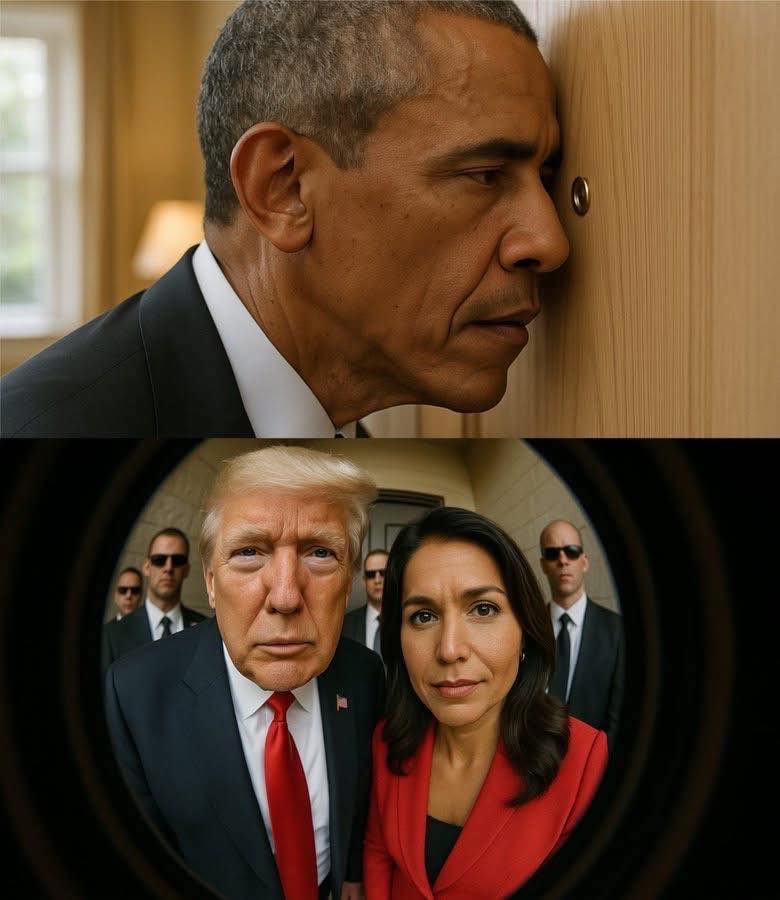 Obama Looking through Peep Hole at Trump and Gabbard